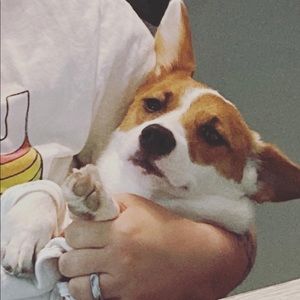 Meet your Posher, Shaina